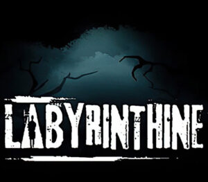 Labyrinthine EU Steam CD Key