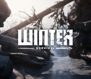 Winter Survival EU Steam CD Key