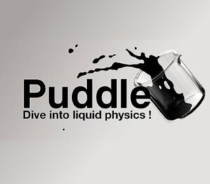 Puddle EU Steam CD Key