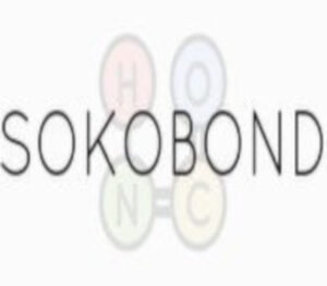Sokobond PC Steam CD Key