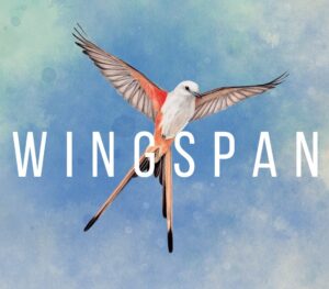 Wingspan EU Steam CD Key